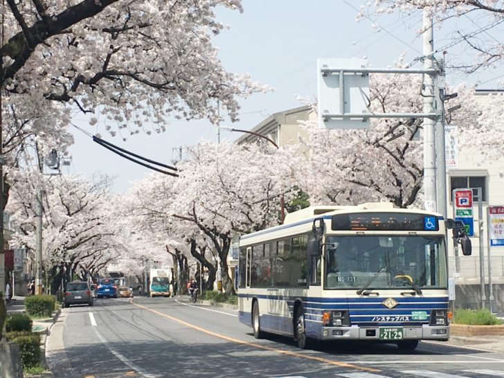 どこまで行ってもたったの100円 弘前には激安公共交通機関がある Aokurashi アオクラシ 青森ブログ